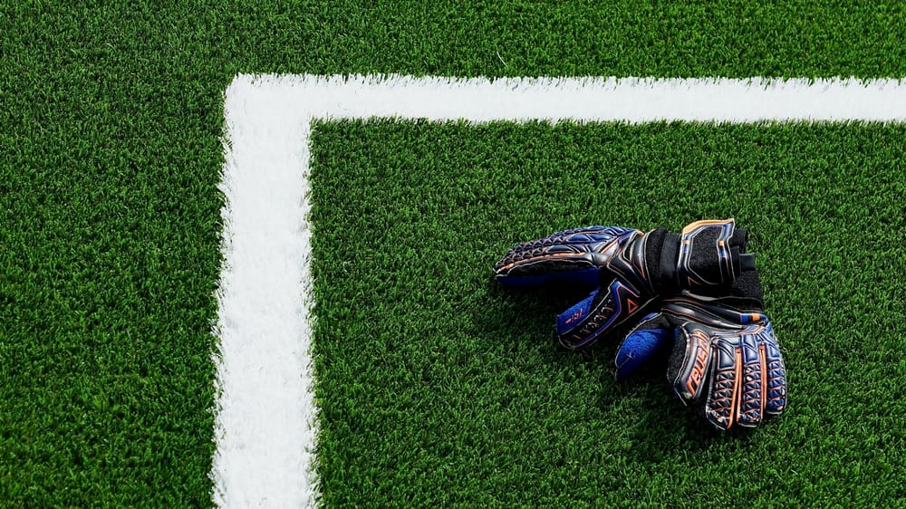 Generic goalkeeper gloves 2